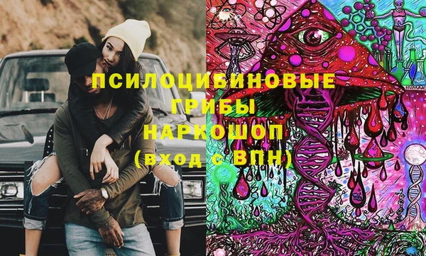 винт Ельня